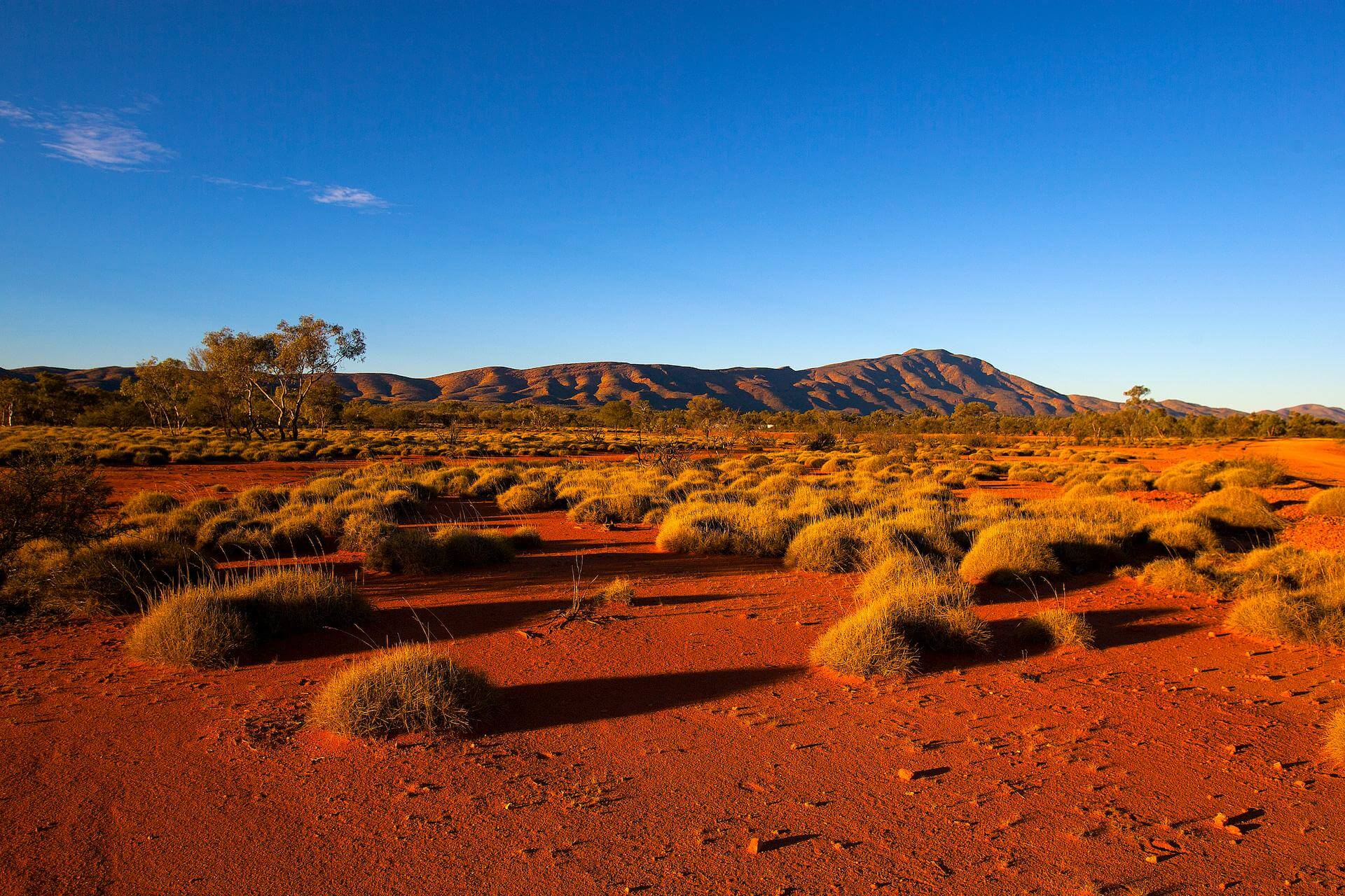 Desert Image